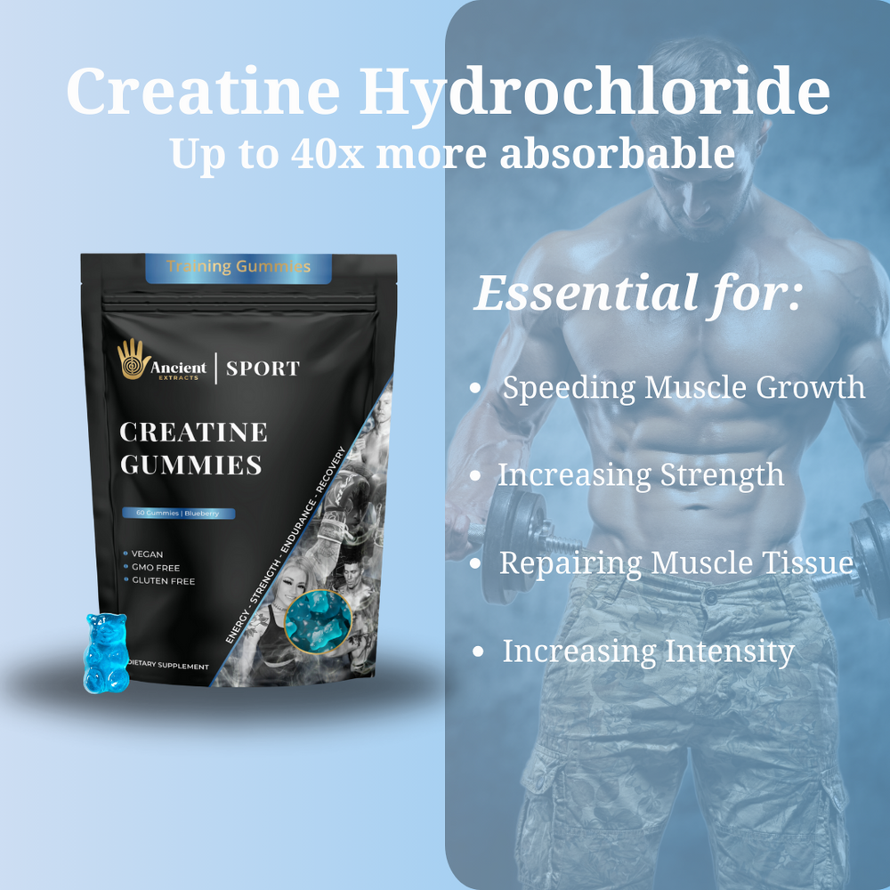 
                  
                    Creatine Hydrochloride Gummies Maximum Absorption
                  
                