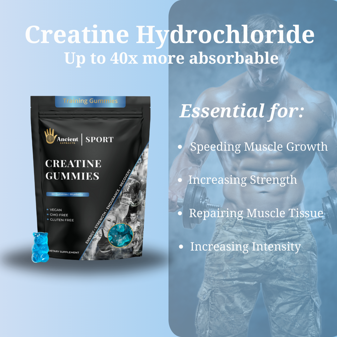 
                  
                    Creatine Hydrochloride Gummies Maximum Absorption
                  
                