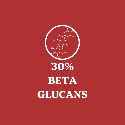 Reishi Mushroom Extract Powder 30% Beta-glucan (60g)