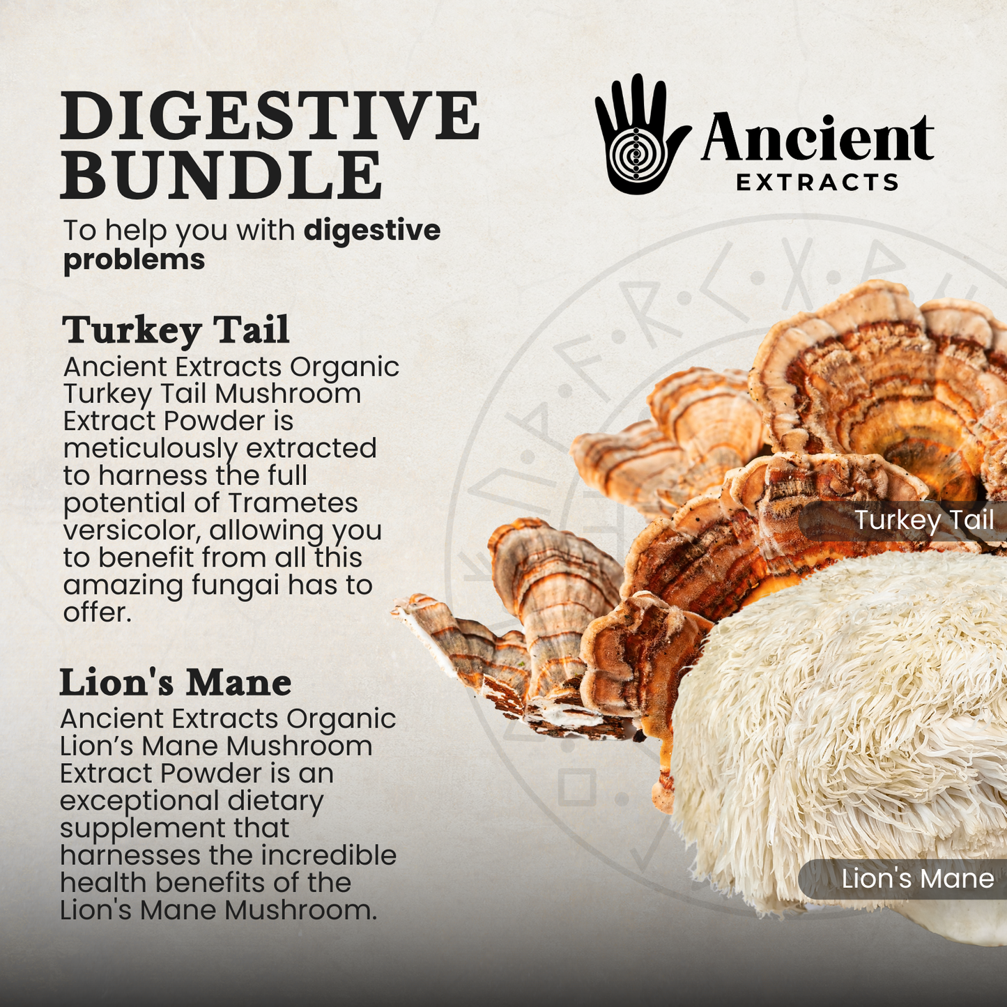 
                  
                    Digestive Pair Lions Mane & Turkey Tail Extracts
                  
                