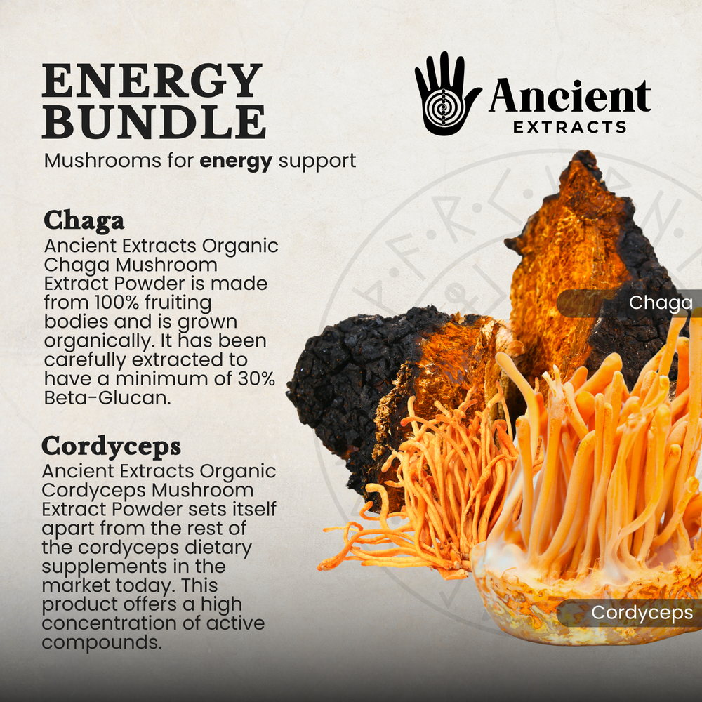 
                  
                    Energy Pair Chaga & Cordyceps Extracts
                  
                