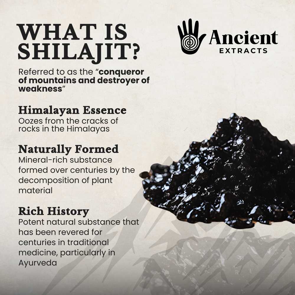 
                  
                    Shilajit Gummies with Ashwagandha, Chaga and Vitamin D
                  
                